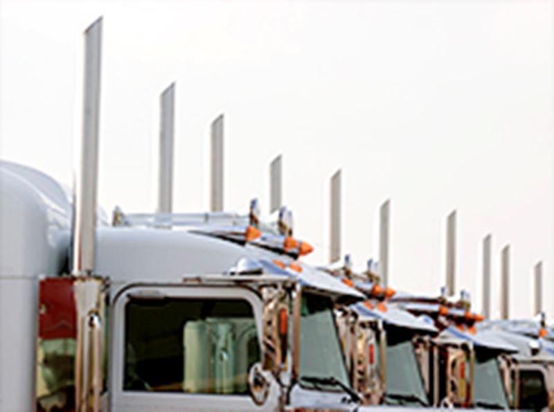 A line of white semi truck cabs